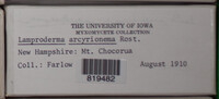 Image Associated With the Occurence